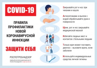�������� �����������: ������������ ������ � �������������� ��������