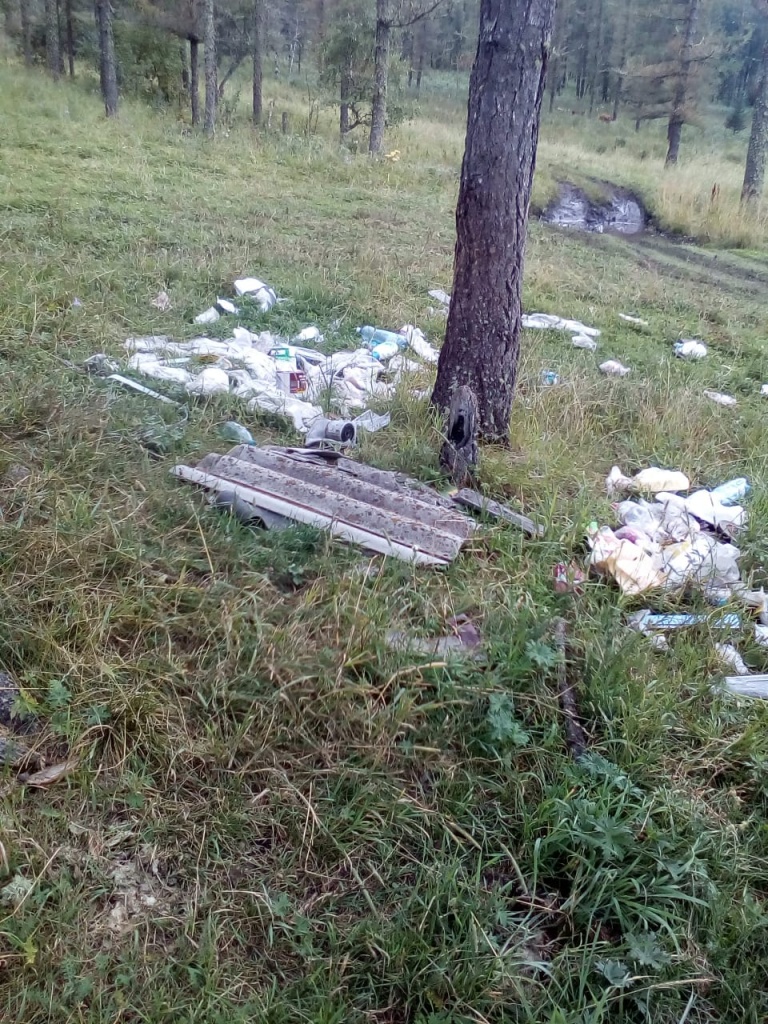 в 700-ах метрах от с. Шебалино в сторону с. В-Апшуяхта с правой стороны в гору 10-15 метров БЫЛО (1).jpg в 700-ах метрах от с. Шебалино в сторону с. В-Апшуяхта с правой стороны в гору 10-15 метров БЫЛО (1).jpg
